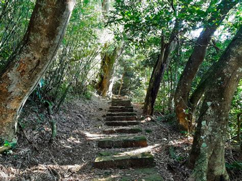 興福寮登山口|古道探訪｜興福寮古道 尋找綠世